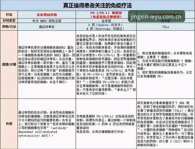 站内人心照的平静同类数据对比的5个常见误区与避坑指南
